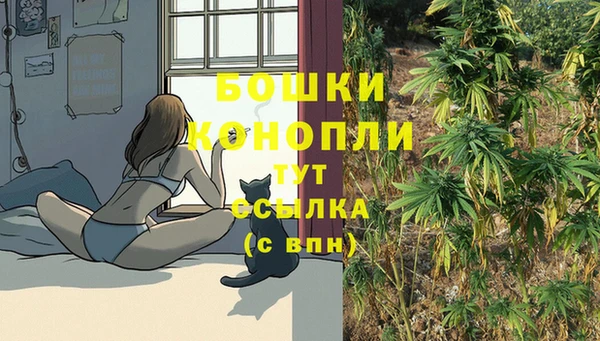стаф Наволоки