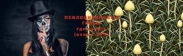 дурь Михайловск