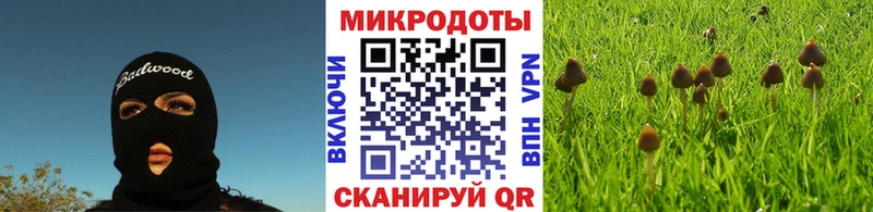 Галлюциногенные грибы прущие грибы  Николаевск 